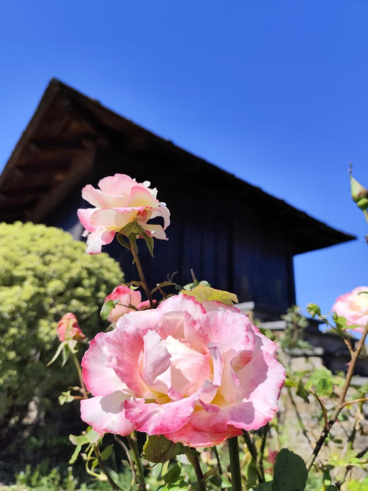 Rurales Casa Do Cabo Country house *
